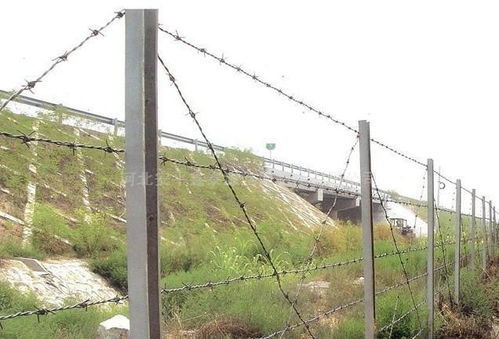 安平晟良丝网制造厂 专业打造高品质铁丝防护网与隔离栅